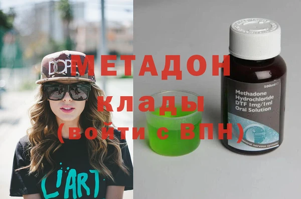 гашик Алексин