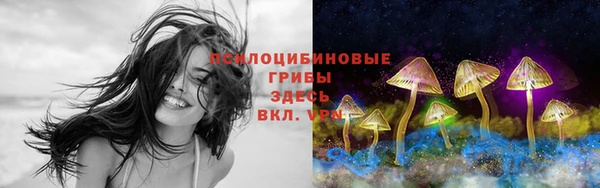 дживик Магас