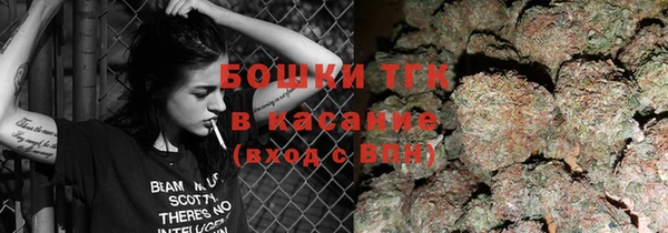 гашик Алексин