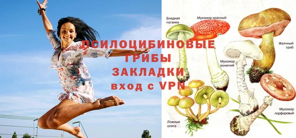 гашик Алексин