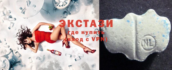 гашик Алексин