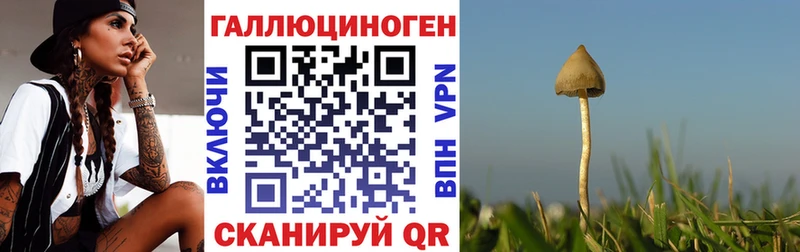 Галлюциногенные грибы GOLDEN TEACHER  Красногорск 